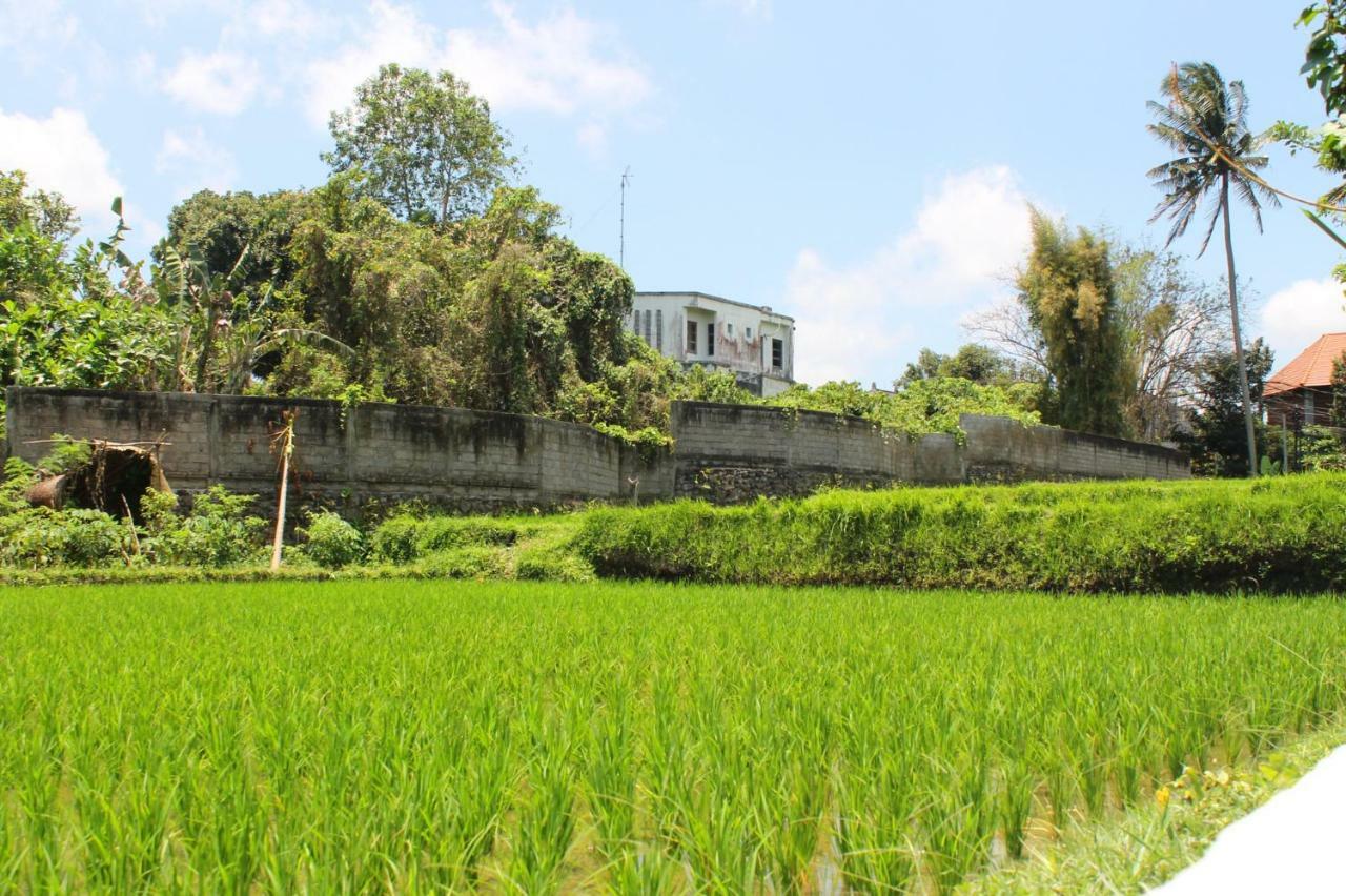 White Creative Villa Campuhan Ubud Exterior foto